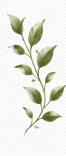 برگ تزئینی